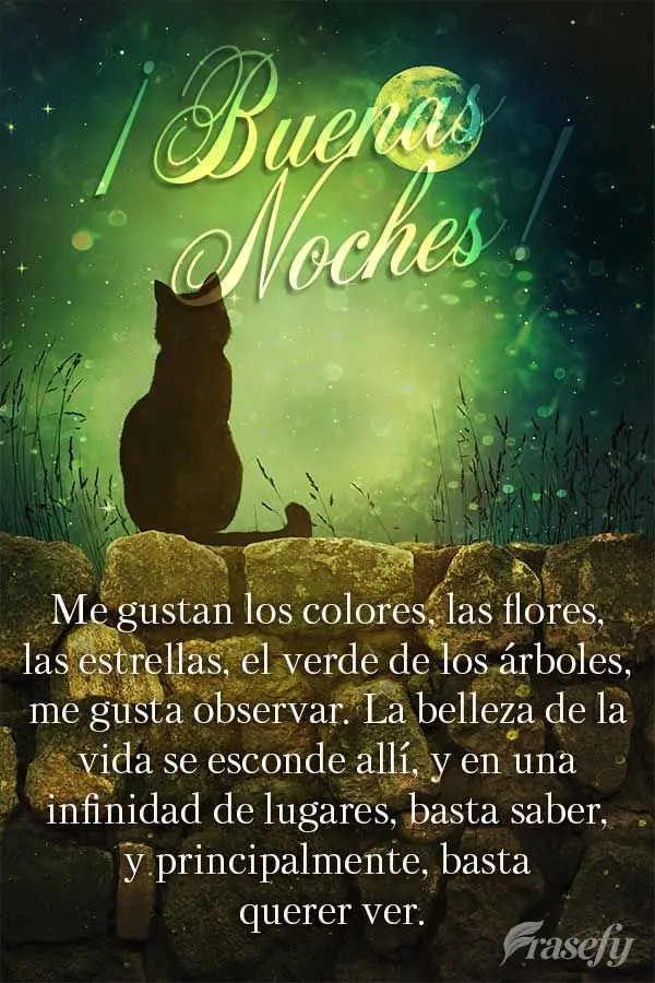 Me gustan los colores, las flores, las estrellas, el verde de los árboles, me gusta observar. La belleza de la vida se esconde allí, y en una infinidad...