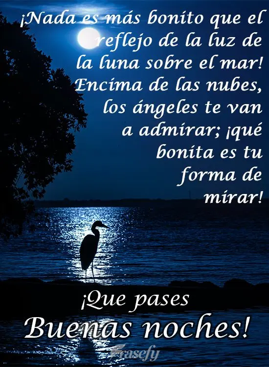 ¡Nada es más bonito que el reflejo de la luz de la luna sobre el mar! Encima de las nubes, los ángeles te van a admirar; ¡qué bonita es tu forma de ...