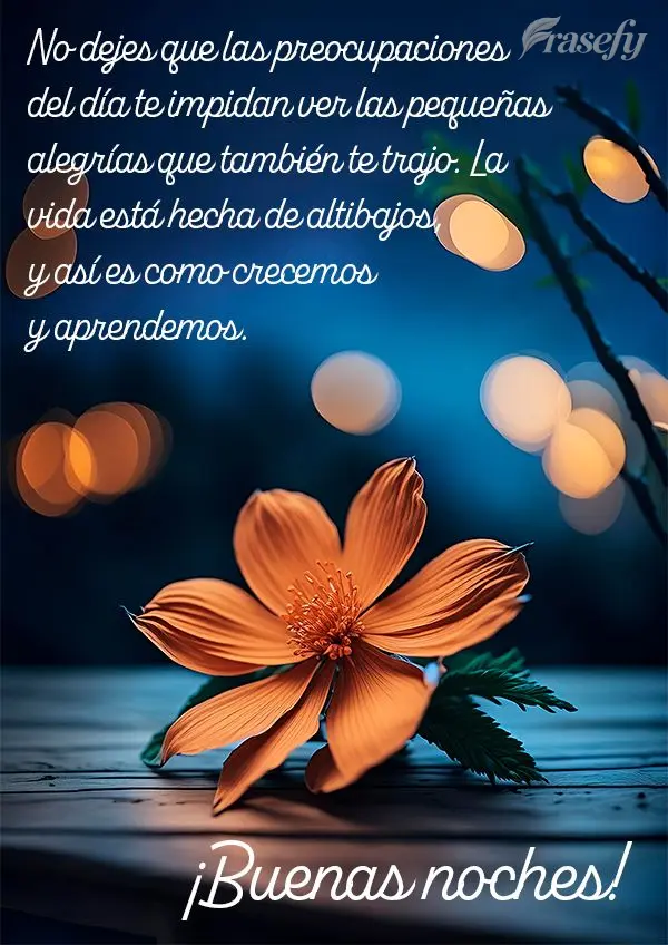 No dejes que las preocupaciones del día te impidan ver las pequeñas alegrías que también te trajo. La vida está hecha de altibajos, y así es como c...