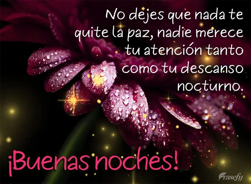 No dejes que nada te quite la paz, nadie merece tu atención tanto como tu descanso nocturno. ¡Buenas noches!