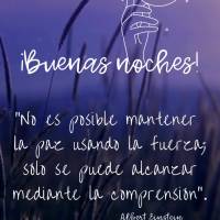 "No es posible mantener la paz usando la fuerza; sólo se puede alcanzar mediante la comprensión”. ¡Buenas noches! Albert Einstein