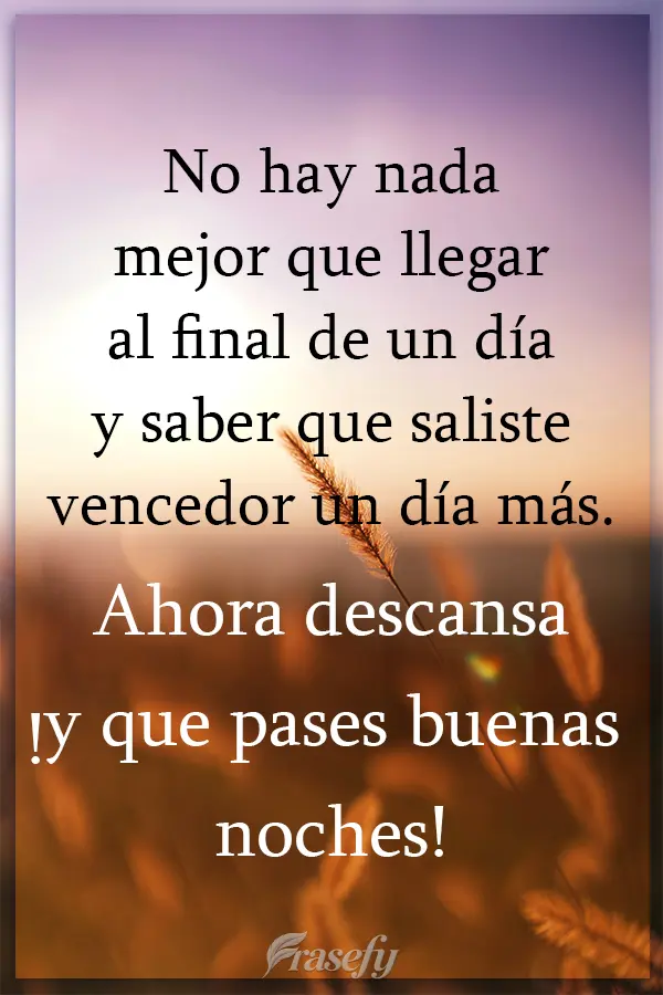 No hay nada mejor que llegar al final de un día y saber que saliste vencedor un día más. Ahora descansa ¡y que pases buenas noches!