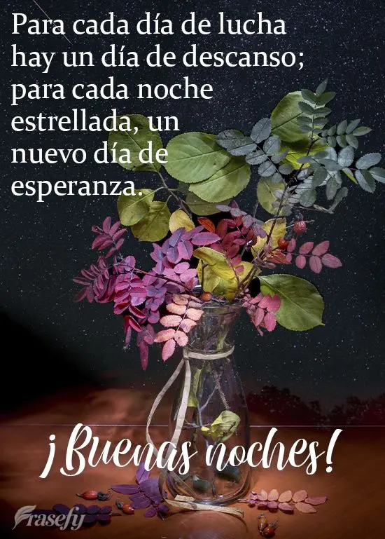 Para cada día de lucha hay un día de descanso; para cada noche estrellada, un nuevo día de esperanza. ¡Buenas noches!