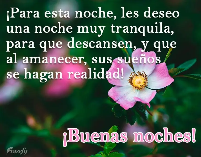 ¡Para esta noche, les deseo una noche muy tranquila, para que descansen, y que al amanecer, sus sueños se hagan realidad! ¡Buenas noches!