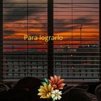 Para lograrlo hay que soñar y para soñar hay que atreverse! ¡Buenas noches!