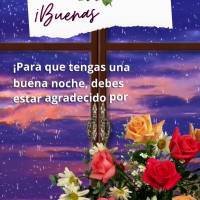 ¡Para que tengas una buena noche, debes estar agradecido por el día que viviste y por todas las bendiciones otorgadas! ¡Buenas noches!