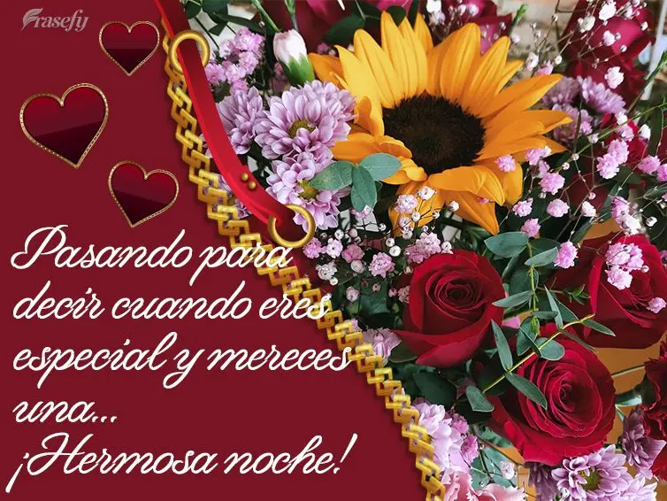 Pasando para decir cuando eres especial y mereces una... ¡Hermosa noche!