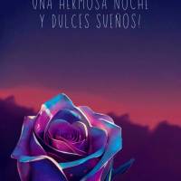 ¡Paso a desearles una hermosa noche y dulces sueños! ¡Buenas noches!