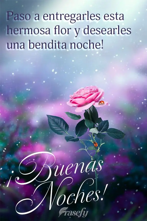 Paso a entregarles esta hermosa flor y desearles una bendita noche! ¡Buenas noches!