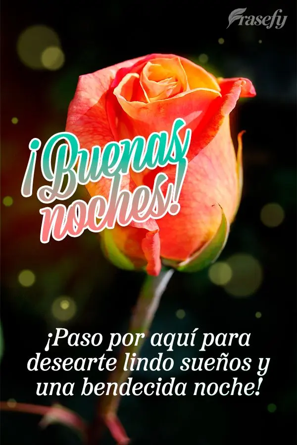 ¡Paso por aquí para desearte lindo sueños y una bendecida noche! ¡Buenas noches!