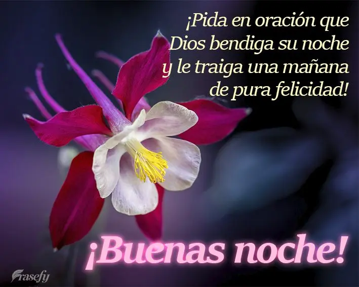 ¡Pida en oración que Dios bendiga su noche y le traiga una mañana de pura felicidad! ¡Buenas noche!