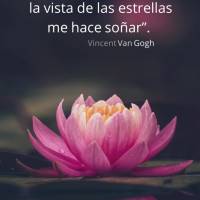 “Por mi parte, no sé nada con certeza, pero la vista de las estrellas me hace soñar”. ¡Buenas noches! Vincent Van Gogh