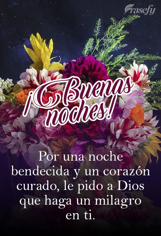 Por una noche bendecida y un corazón curado, le pido a Dios que haga un milagro en ti. ¡Buenas noches!