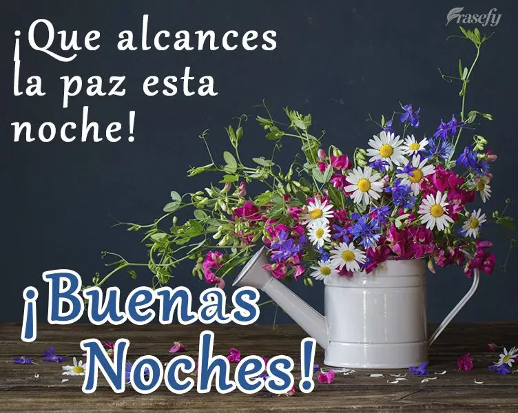 ¡Que alcances la paz esta noche! ¡Buenas noches!