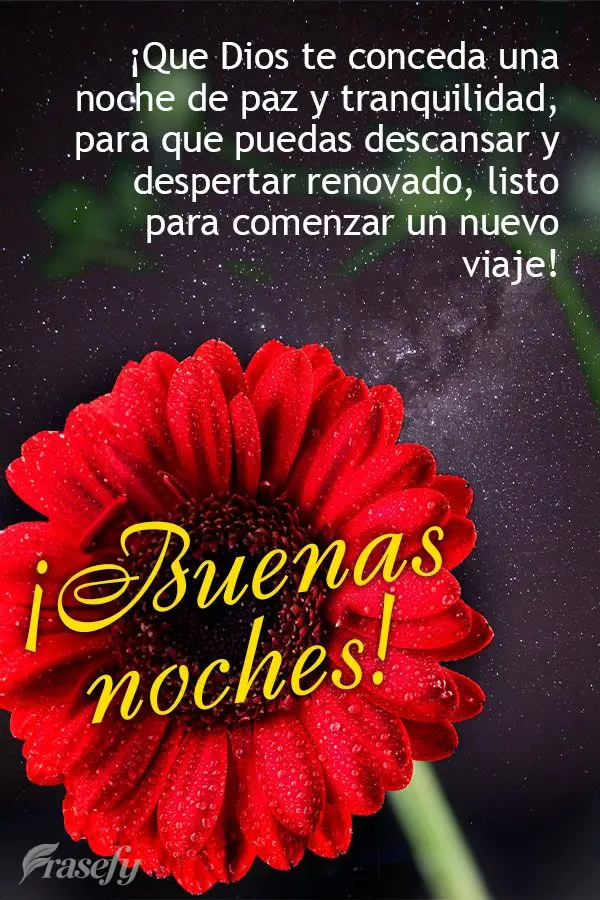 ¡Que Dios te conceda una noche de paz y tranquilidad, para que puedas descansar y despertar renovado, listo para comenzar un nuevo viaje! ¡Buenas noche...