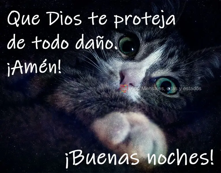 Que Dios te proteja de todo daño. ¡Amén! ¡Buenas noches!