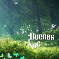 ¡Que Dios te traiga paz y tranquilidad esta noche, que sus bendiciones se revelen en tus sueños y que duermas sabiendo que mañana tendrás un hermoso ...