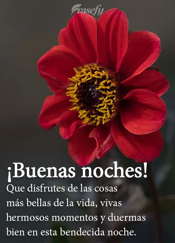 Que disfrutes de las cosas más bellas de la vida, vivas hermosos momentos y duermas bien en esta bendecida noche. ¡Buenas noches!