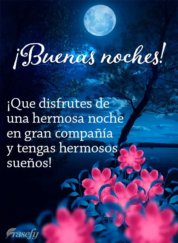 ¡Que disfrutes de una hermosa noche en gran compañía y tengas hermosos sueños! ¡Buenas noches!