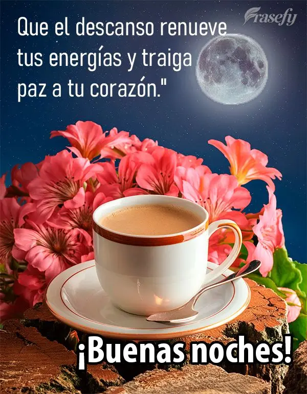 Que el descanso renueve tus energías y traiga paz a tu corazón." ¡Buenas noches!