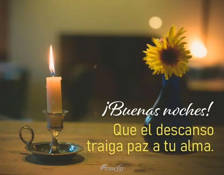 Que el descanso traiga paz a tu alma. ¡Buenas noches!