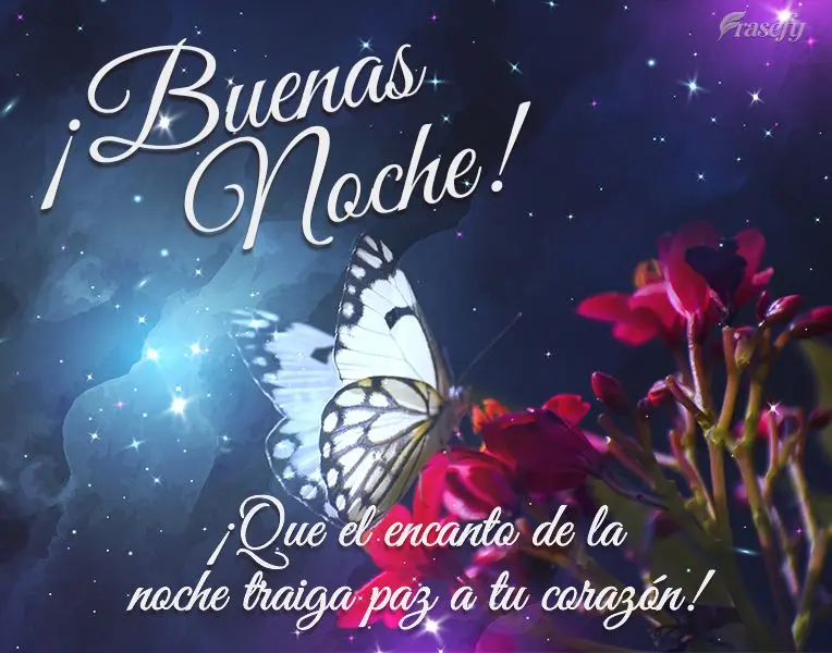 ¡Que el encanto de la noche traiga paz a tu corazón! ¡Buenas noches!
