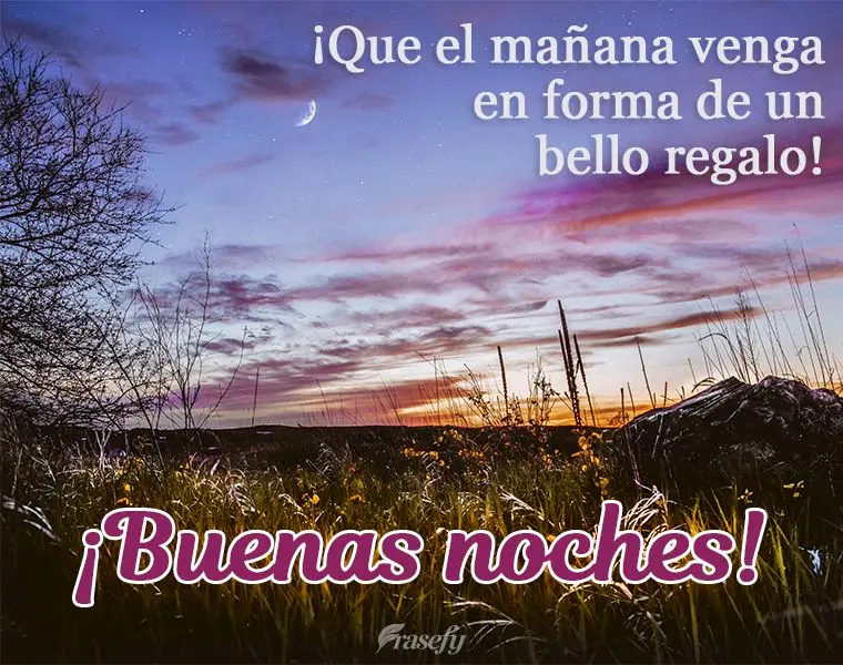 ¡Que el mañana venga en forma de un bello regalo! ¡Buenas noches!