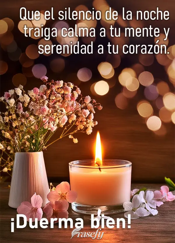 Que el silencio de la noche traiga calma a tu mente y serenidad a tu corazón. ¡Duerma bien!