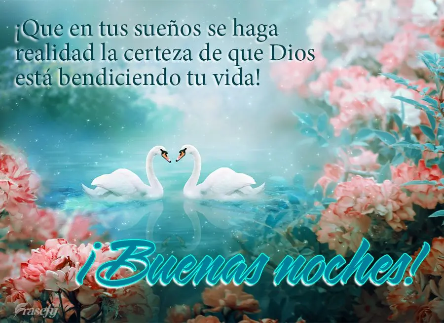 ¡Que en tus sueños se haga realidad la certeza de que Dios está bendiciendo tu vida! ¡Buenas noches!
