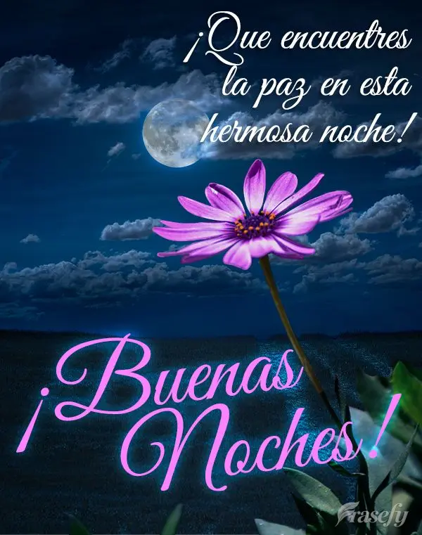 ¡Que encuentres la paz en esta hermosa noche! ¡Buenas noches!