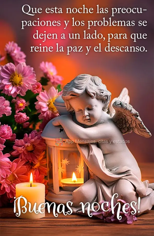 Que esta noche las preocupaciones y los problemas se dejen a un lado, para que reine la paz y el descanso. ¡Buenas noches!