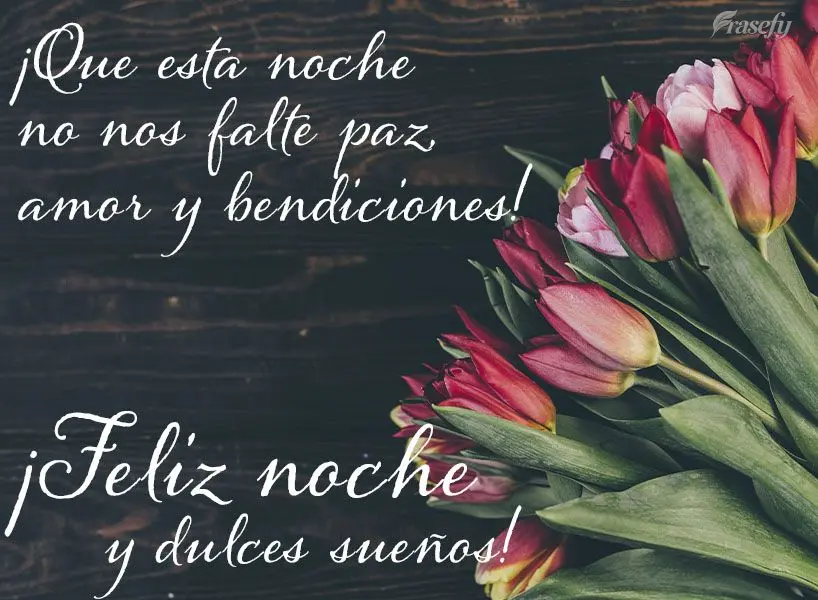 ¡Que esta noche no nos falte paz, amor y bendiciones! ¡Feliz noche y dulces sueños!