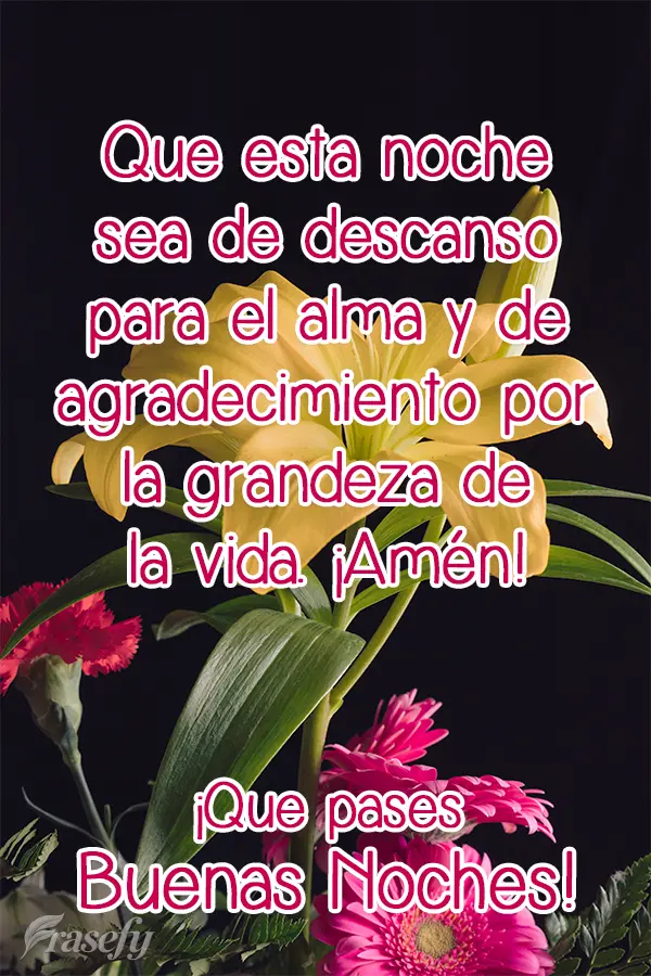 Que esta noche sea de descanso para el alma y de agradecimiento por la grandeza de la vida. ¡Amén! ¡Que pases buenas noches!