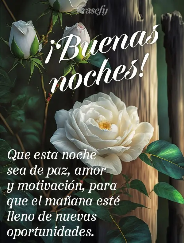 Que esta noche sea de paz, amor y motivación, para que el mañana esté lleno de nuevas oportunidades. ¡Buenas noches!