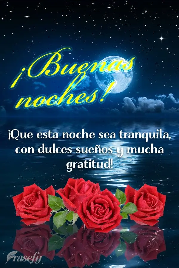 ¡Que esta noche sea tranquila, con dulces sueños y mucha gratitud! ¡Buenas noches!