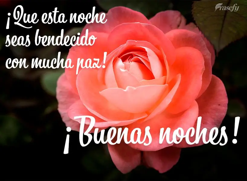 ¡Que esta noche seas bendecido con mucha paz! ¡Buenas noches!