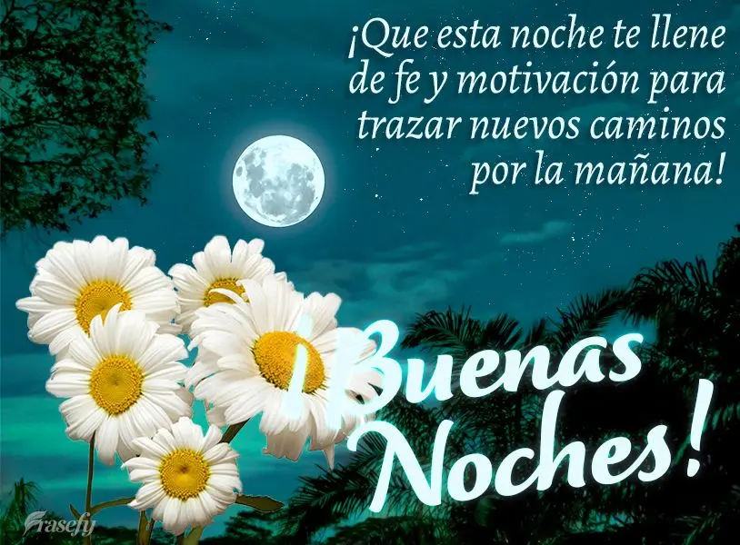 ¡Que esta noche te llene de fe y motivación para trazar nuevos caminos por la mañana! ¡Buenas noches!