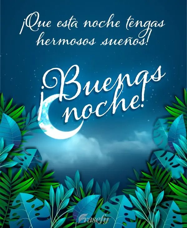 ¡Que esta noche tengas hermosos sueños! ¡Buenas noches!