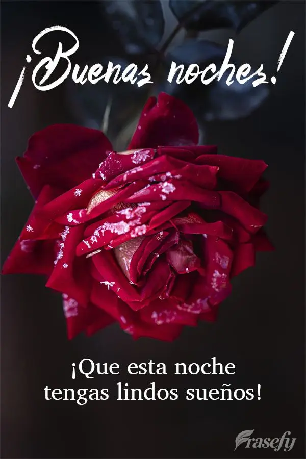 ¡Que esta noche tengas lindos sueños! ¡Buenas noches!