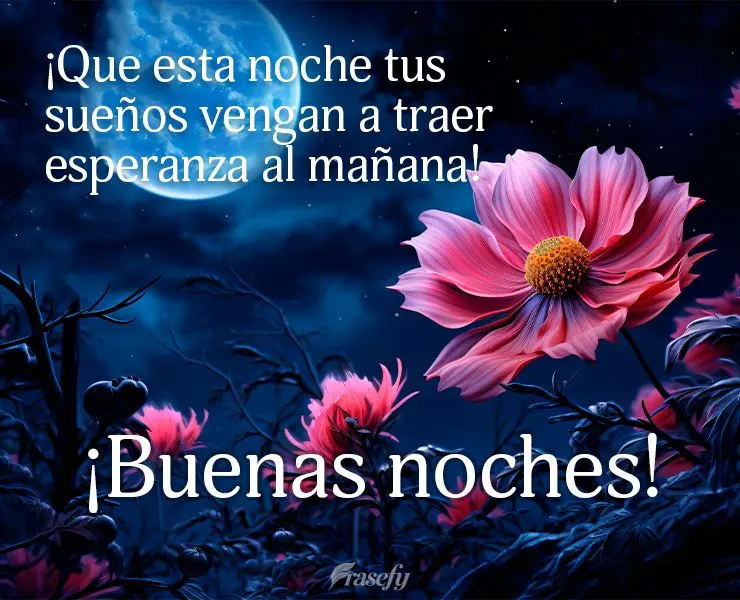 ¡Que esta noche tus sueños vengan a traer esperanza al mañana! ¡Buenas noches!