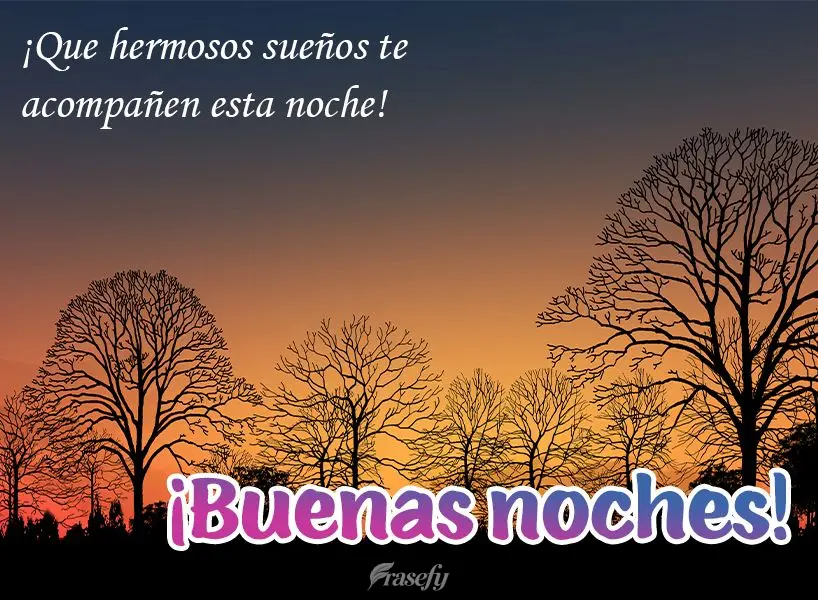 ¡Que hermosos sueños te acompañen esta noche! ¡Buenas noches!