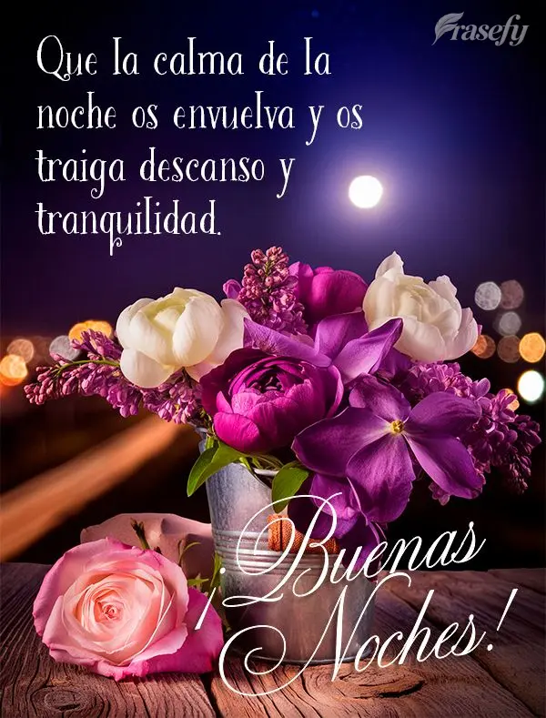 Que la calma de la noche os envuelva y os traiga descanso y tranquilidad. ¡Buenas noches!