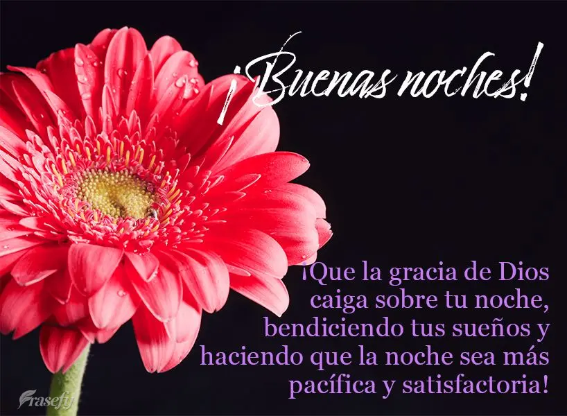 ¡Que la gracia de Dios caiga sobre tu noche, bendiciendo tus sueños y haciendo que la noche sea más pacífica y satisfactoria! ¡Buenas noches!