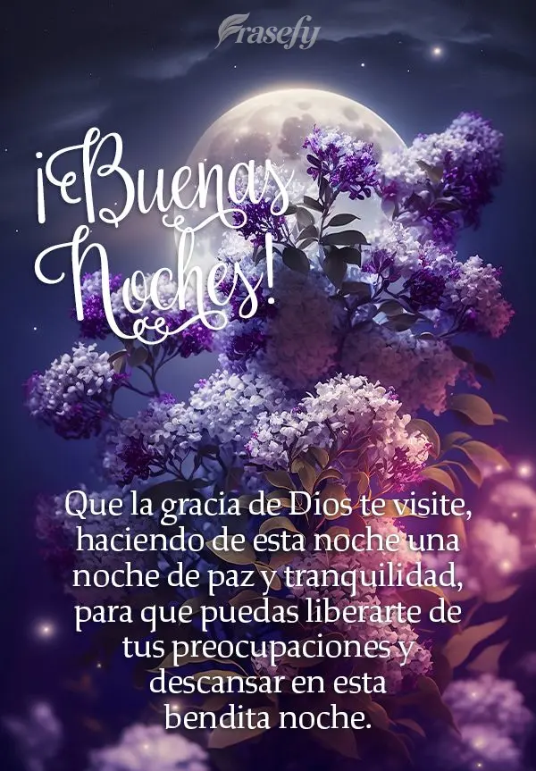 Que la gracia de Dios te visite, haciendo de esta noche una noche de paz y tranquilidad, para que puedas liberarte de tus preocupaciones y descansar en e...