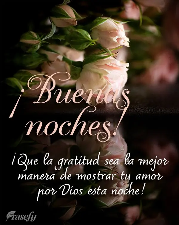 ¡Que la gratitud sea la mejor manera de mostrar tu amor por Dios esta noche! ¡Buenas noches!