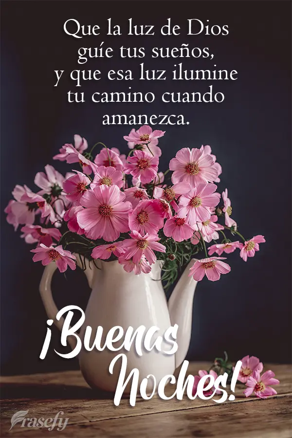 Que la luz de Dios guíe tus sueños, y que esa luz ilumine tu camino cuando amanezca.  ¡Buenas noches!
