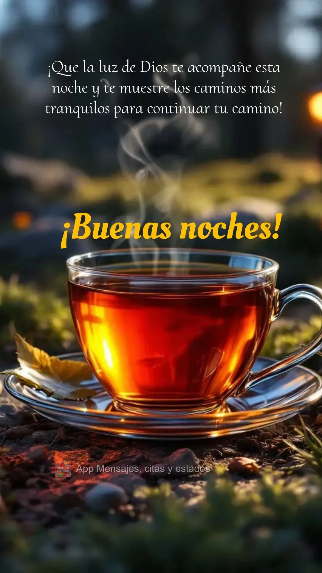 ¡Que la luz de Dios te acompañe esta noche y te muestre los caminos más tranquilos para continuar tu camino! ¡Buenas noches!