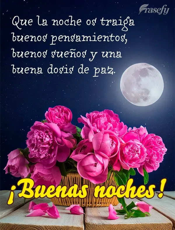 Que la noche os traiga buenos pensamientos, buenos sueños y una buena dosis de paz. ¡Buenas noches!