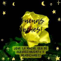 ¡Que la noche sea de agradecimiento y bendiciones! ¡Buenas noches!
