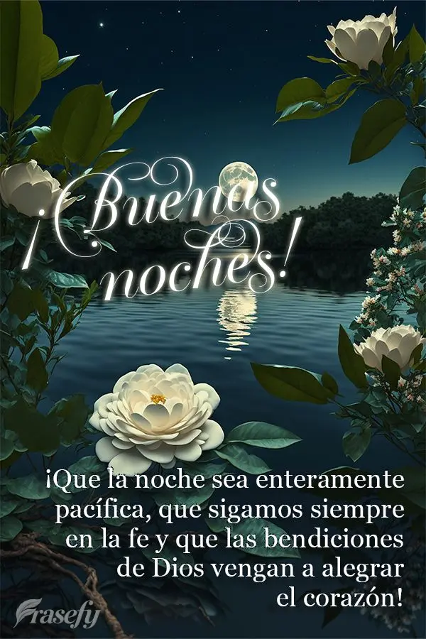 ¡Que la noche sea enteramente pacífica, que sigamos siempre en la fe y que las bendiciones de Dios vengan a alegrar el corazón! ¡Buenas noches!